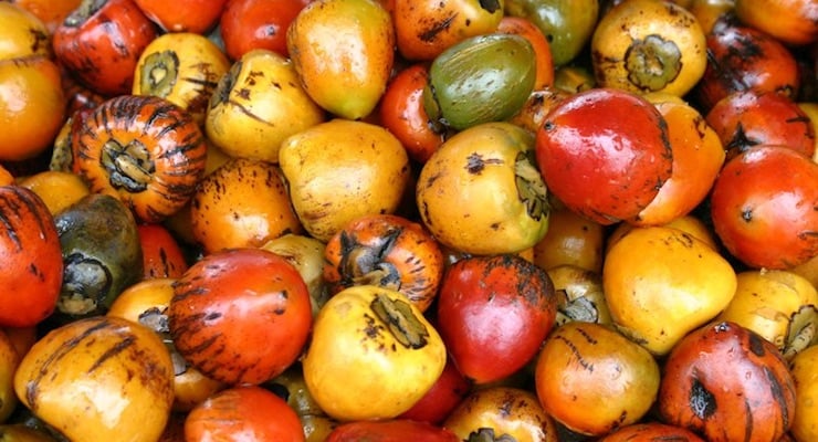 Frutas tropicales variadas en tonos amarillo, naranja y rojo agrupadas sobre una superficie