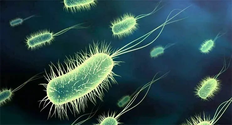 Ilustración de bacterias en tono verde sobre un fondo oscuro.