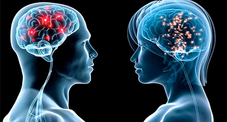 Ilustración médica de dos cabezas humanas mostrando el cerebro con áreas iluminadas que representan actividad o daño neurológico.