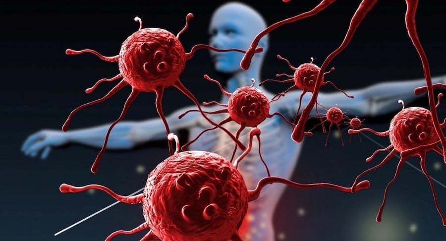 Ilustración médica en 3D que muestra representaciones de células del sistema inmunológico en color rojo frente a la silueta de un cuerpo humano.