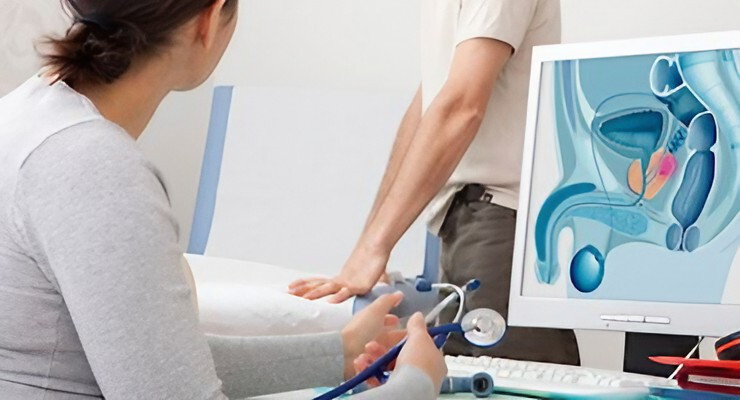 Consulta médica con ilustración de la próstata en pantalla
