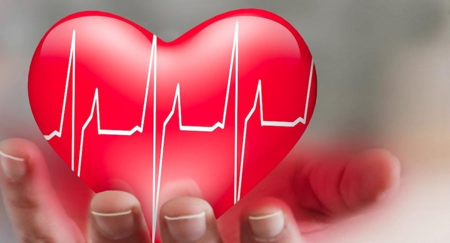 Ilustración de un corazón rojo con una línea de frecuencia cardíaca sostenido por una mano, representando el cuidado de la insuficiencia cardíaca.