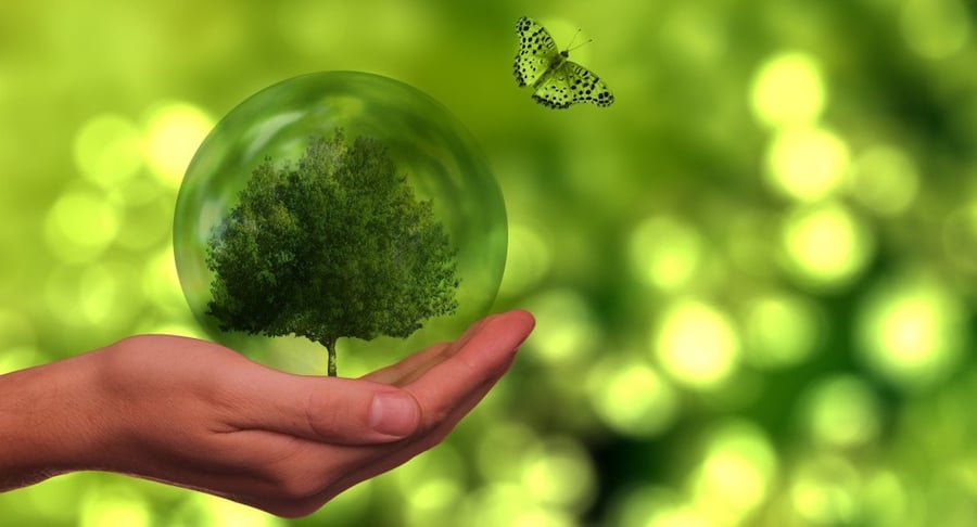 Mano sosteniendo una esfera transparente con un árbol en su interior y una mariposa sobre fondo verde que representa el cuidado del medio ambiente.