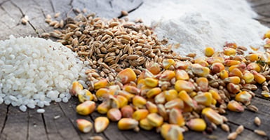 Diversos granos y harinas de trigo, avena, cebada y centeno sobre una superficie de madera, ilustrando fuentes comunes de gluten.