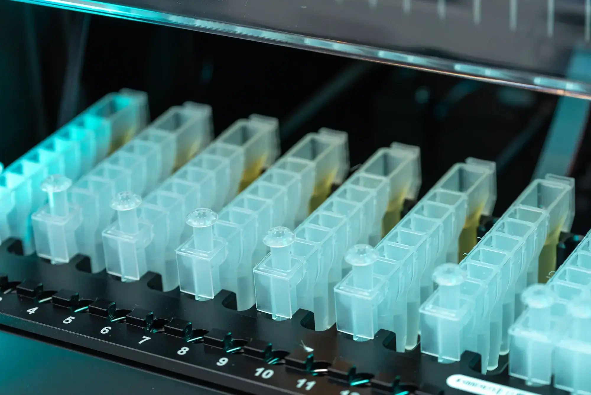 Contenedor con múltiples tubos transparentes en proceso de análisis clínico