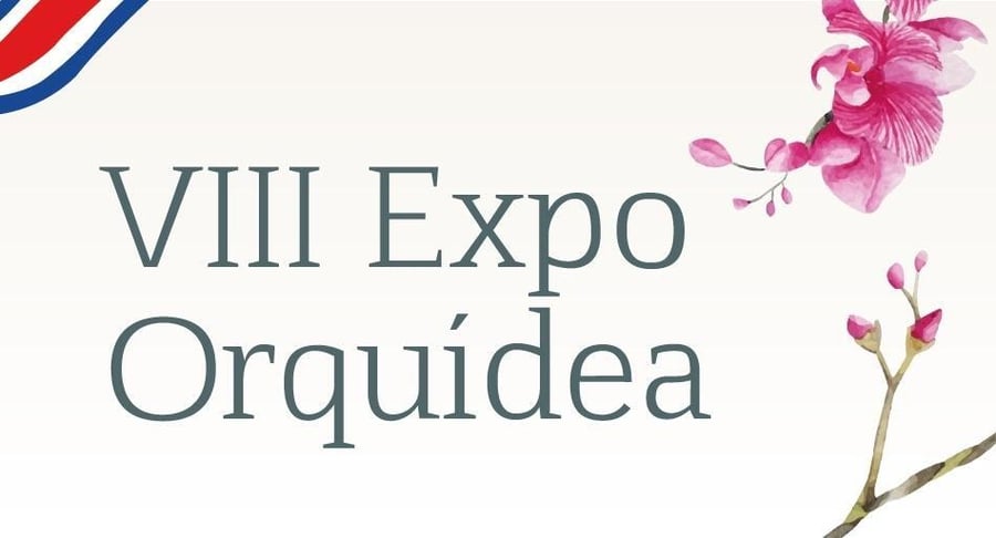 Banner promocional de la VIII Expo Orquídea con ilustraciones de orquídeas rosadas sobre fondo claro.