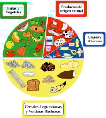 Gráfico ilustrado de grupos de alimentos dividido por colores y categorías