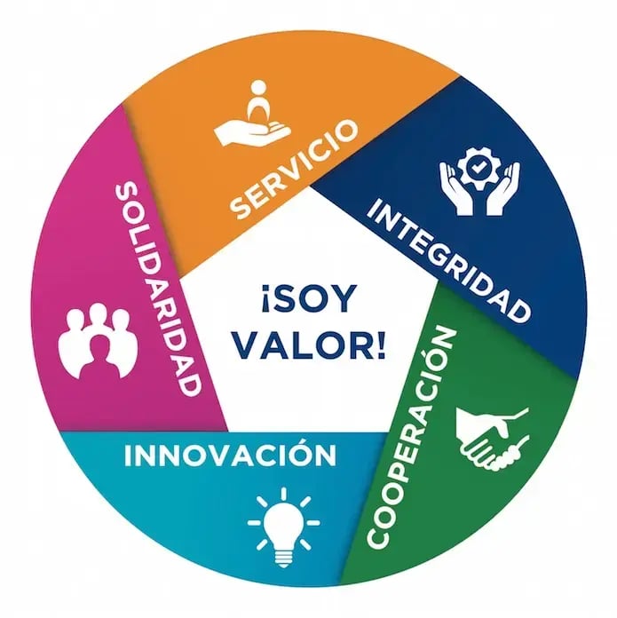 Gráfico circular de valores institucionales con segmentos de servicio, integridad, cooperación, innovación y solidaridad.