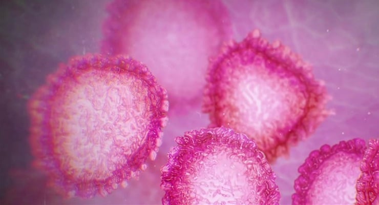 Representación microscópica de partículas de coronavirus en tonos rosados, ilustrando la importancia de seguir fuentes oficiales de salud.