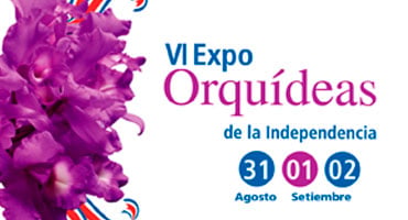 Afiche promocional de la VI Expo Orquídeas de la Independencia en el Hospital Clínica Bíblica con flores moradas y fechas del evento.