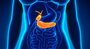 Ilustración médica del sistema digestivo con el páncreas resaltado en color naranja