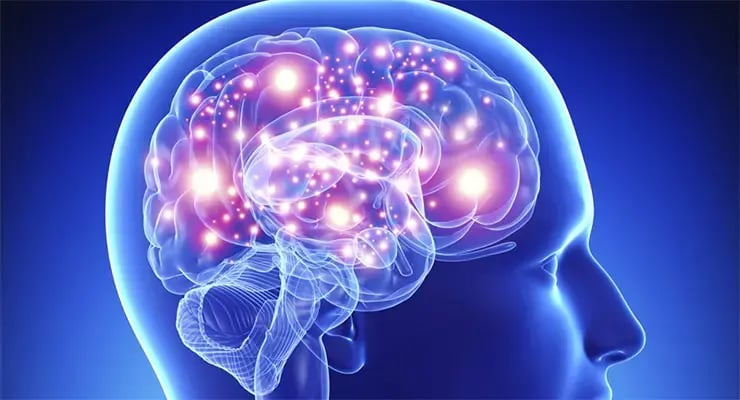Ilustración del cerebro humano con áreas iluminadas que representan actividad neuronal.