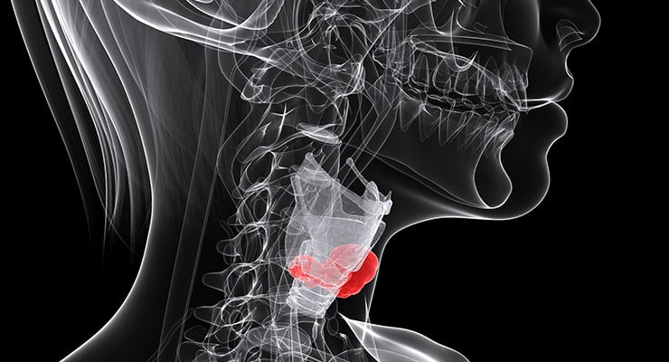 Ilustración médica del cuello humano con la glándula tiroides resaltada en color rojo