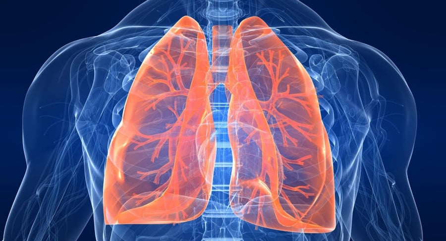 Ilustración médica del torso humano con los pulmones resaltados en color naranja