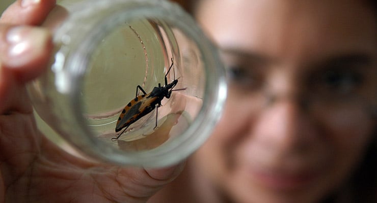 Insecto dentro de un frasco de vidrio sostenido por una persona