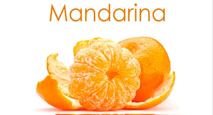Mandarina pelada junto a su cáscara sobre fondo blanco.