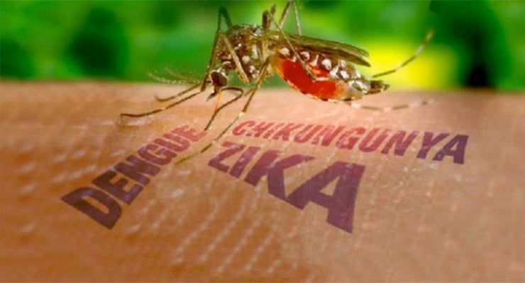 Mosquito posado sobre la piel humana con las palabras dengue, chikungunya y zika visibles.