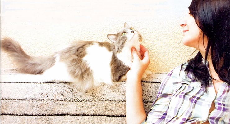 Mujer acariciando un gato mientras ambos se observan en un entorno doméstico.