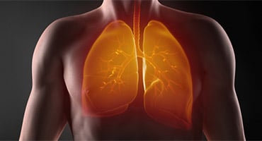 Ilustración médica del tórax humano con los pulmones resaltados en color naranja