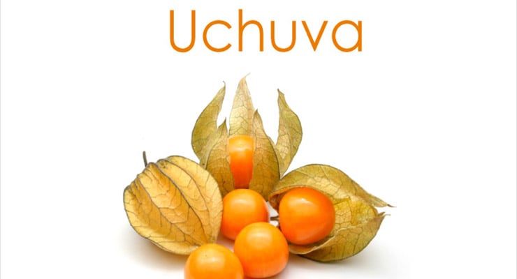 Uchuvas frescas con su cáscara natural abiertas, mostrando los frutos sobre fondo blanco.