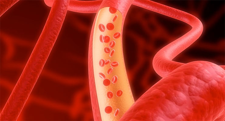 Ilustración médica de un vaso sanguíneo con glóbulos rojos circulando en su interior.