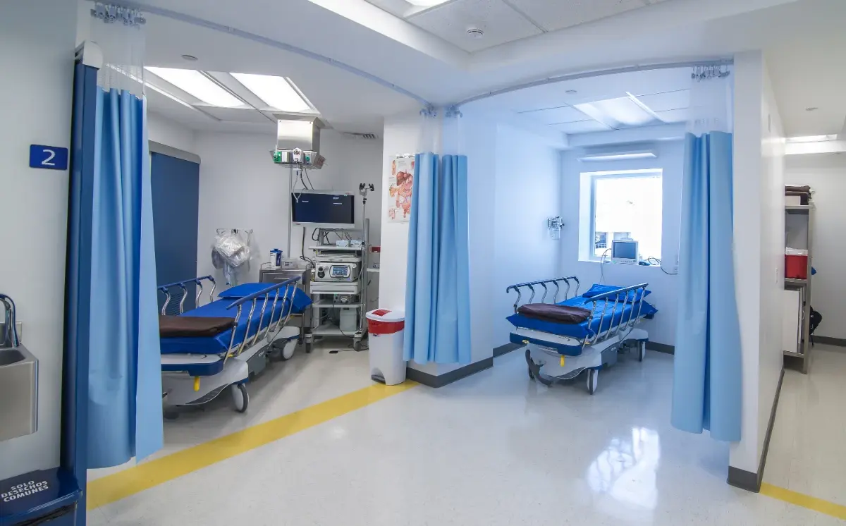 13022019-_DSC6121 13022019-_DSC6121