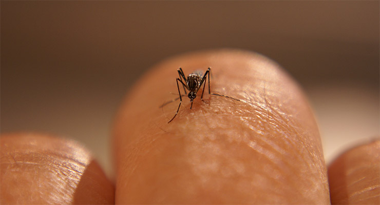 Prevenir es vida, protéjase contra el Zika