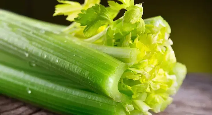 Apio: Propiedades, beneficios y para qué sirve