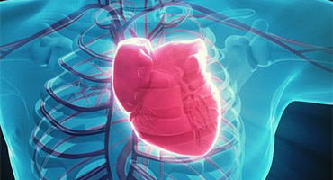 Conozca más sobre las arritmias cardíacas