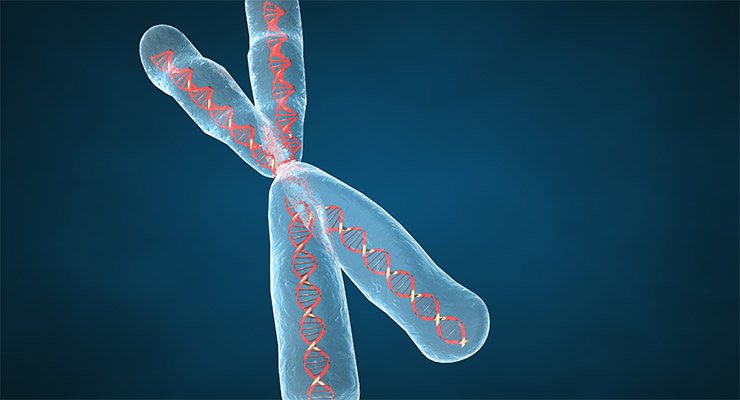 ¿Le gustaría saber que posibles enfermedades podrían sufrir sus hijos antes de concebir?
