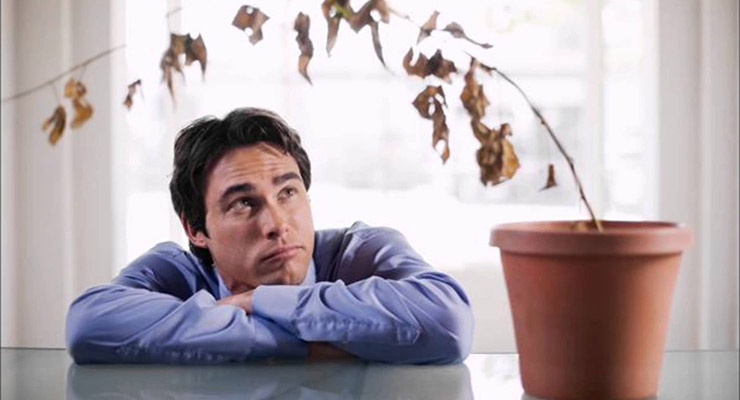 Disfunción eréctil