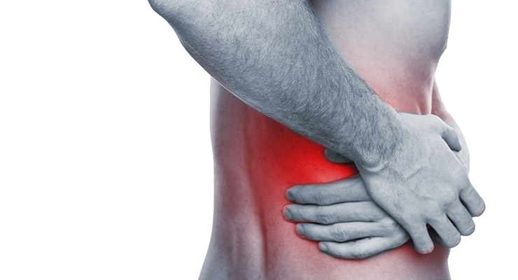 Del 10 al 15% de los ticos sufre de cálculos renales