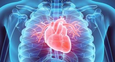 Sede de Santa Ana ya cuenta con la Clínica de Cardiología Diagnóstica