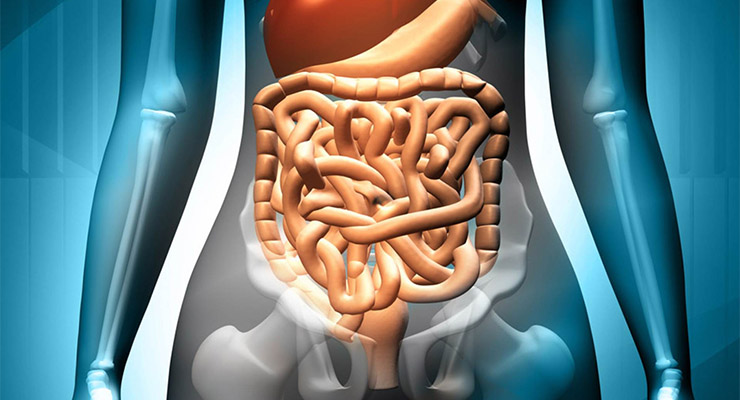 Cómo desechar sustancias químicas del cuerpo