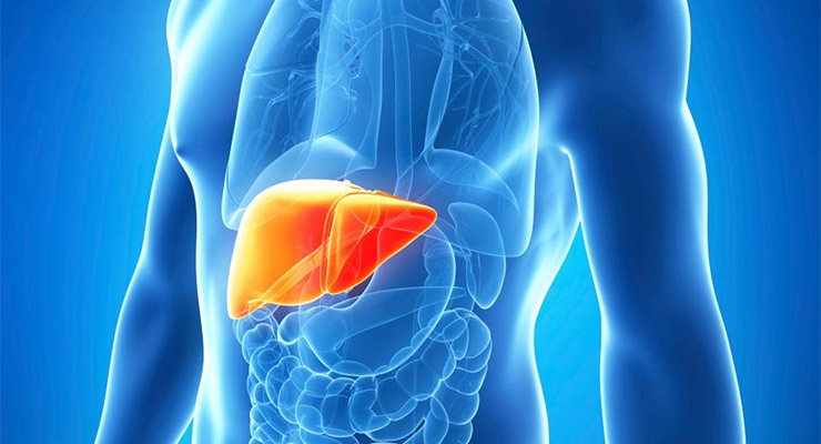 Hepatitis viral provoca el 80% de los casos de cáncer de hígado
