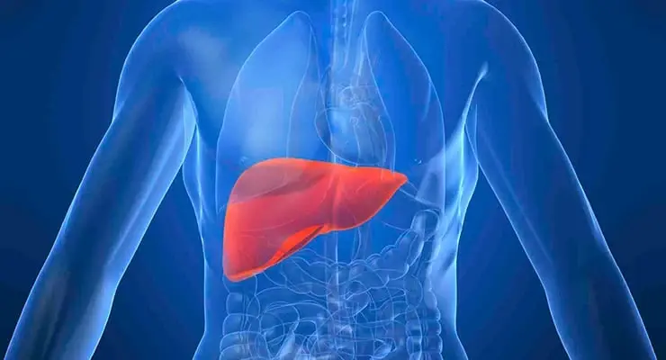 ¡Atención! Cansancio, náuseas y fiebre son síntomas de hepatitis