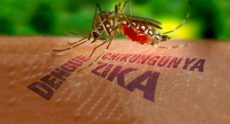 Tome precauciones contra el virus del Zika