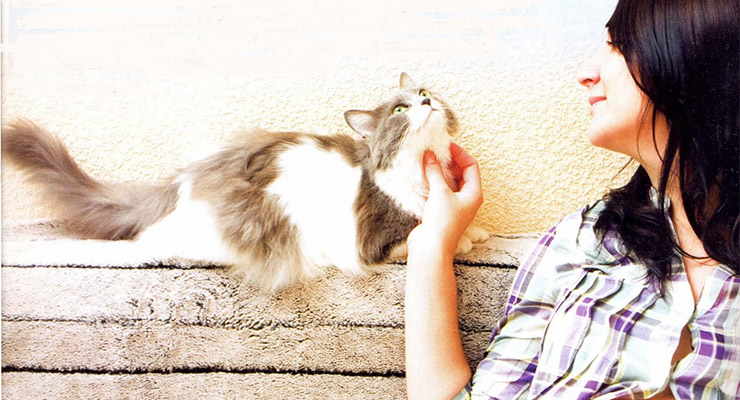 Toxoplasmosis ¿Qué es y cómo se contagia?