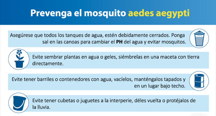Prevenga el mosquito aedes aegypti