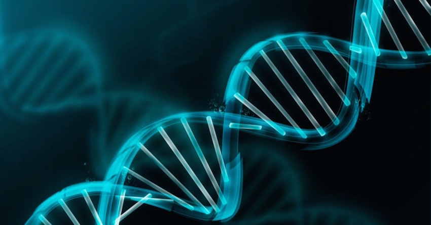 Medicina Genética - Cadena de ADN - Hospital Clínica Bíblica