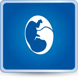 Especialidad en Medicina Materno Fetal - Hospital Clínica Bíblica