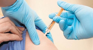 Virus chikungunya